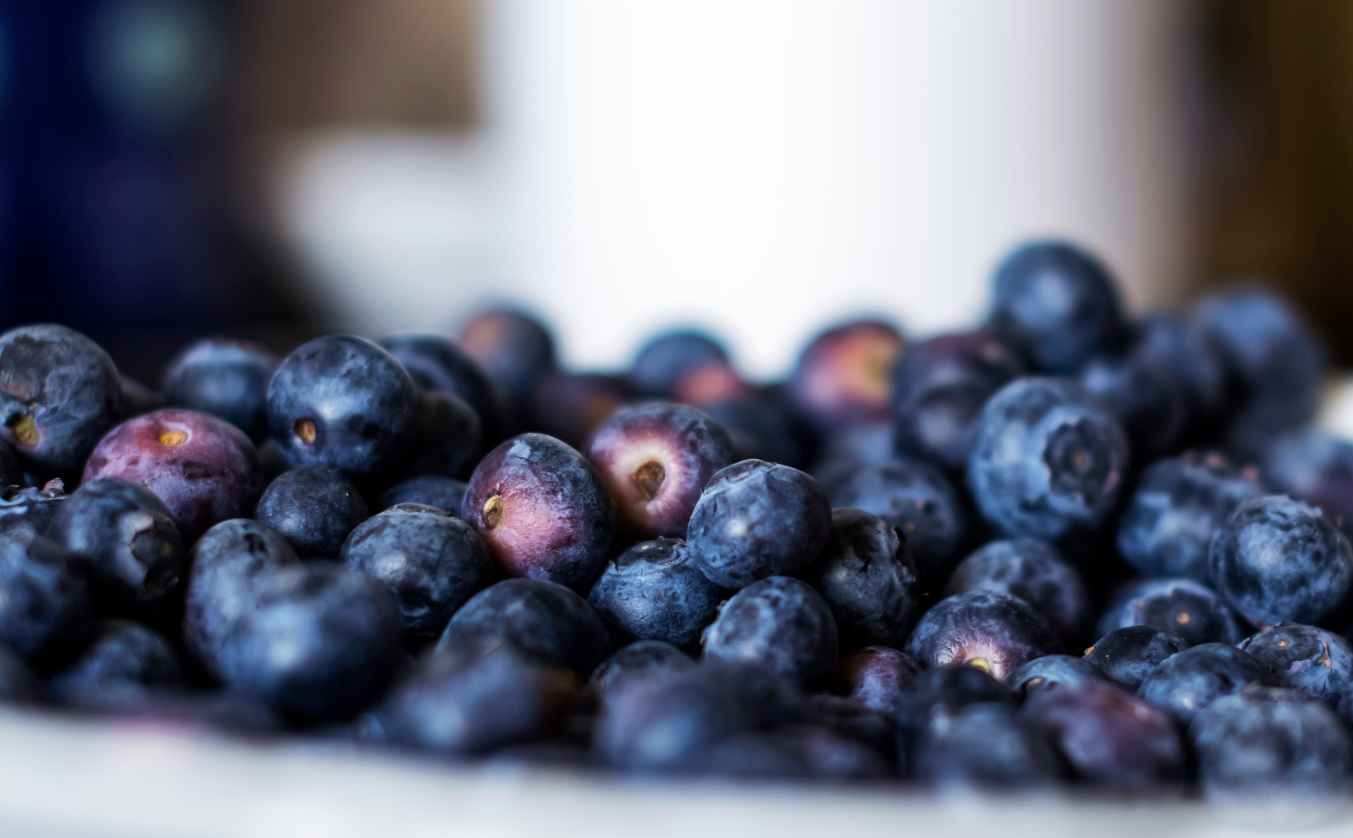 selective photography of blueberries